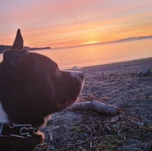 Meet your Posher, Kimmie jai